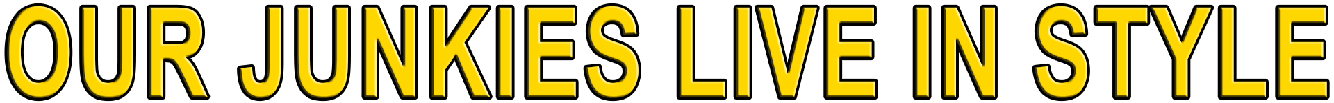 OUR JUNKIES LIVE IN STYLE